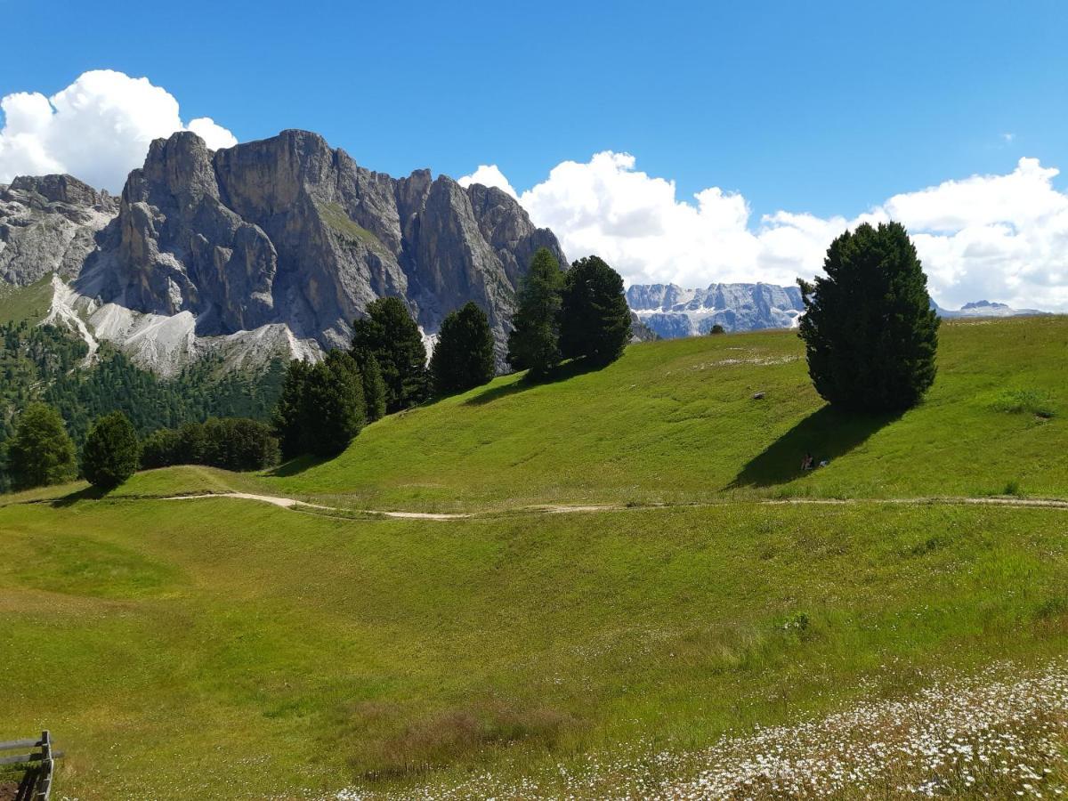 Garni Franca B&B Selva di Val Gardena Ngoại thất bức ảnh