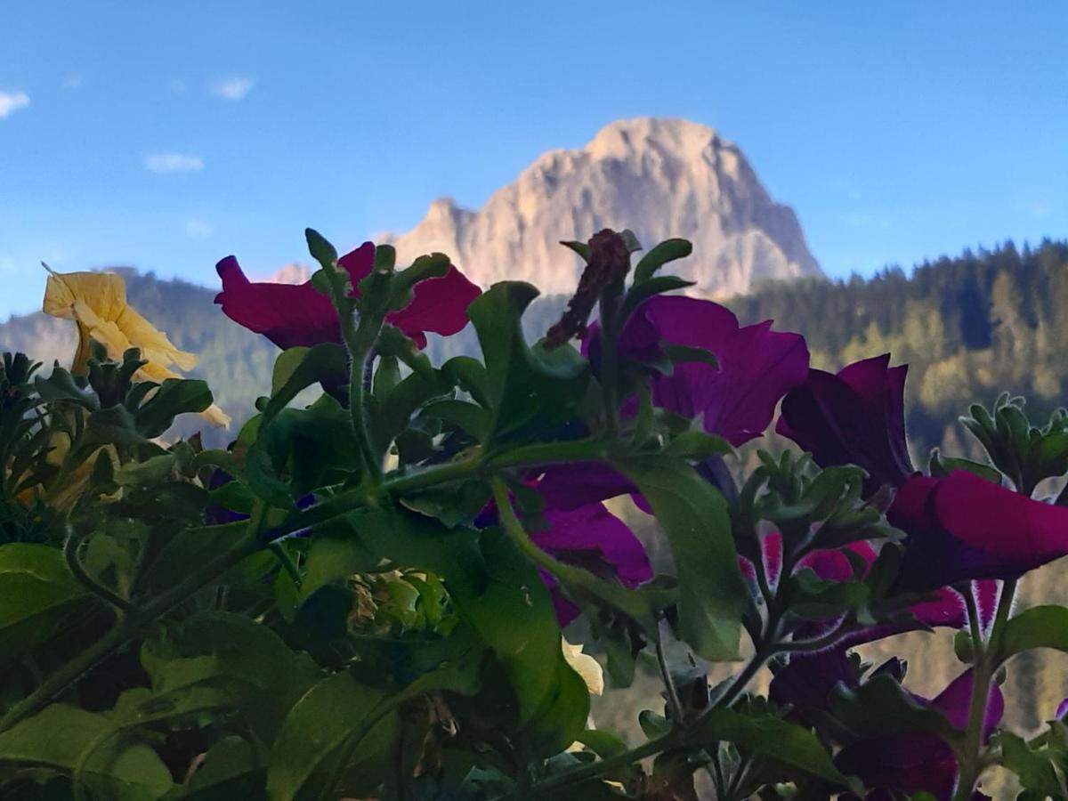 Garni Franca B&B Selva di Val Gardena Ngoại thất bức ảnh