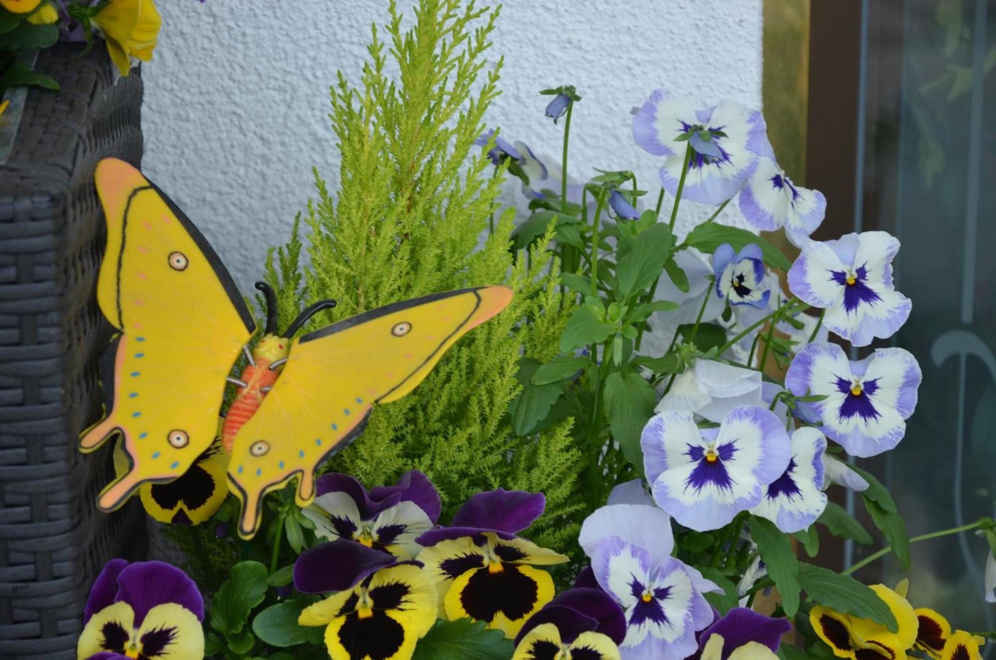 Garni Franca B&B Selva di Val Gardena Ngoại thất bức ảnh